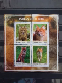 znaczki-fauna-zwierzeta-dzikie-psy-delhi-czysty-zn41