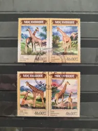 znaczki-fauna-zyrafy-mozambik-kasowany-zn9