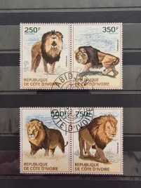 znaczki-fauna-lwy-cote-d-ivoire-kasowany-zn9