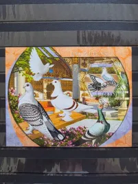 znaczki-ptaki-golebie-mali-kasowany-p26