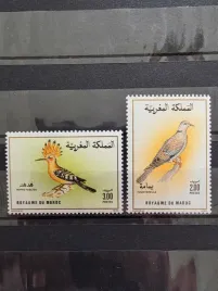 znaczki-fauna-ptaki-dudek-golab-maroko-czysty-p29