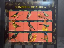 znaczki-fauna-ptaki-nektarniki-wroble-ghana-czysty-d