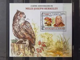 znaczki-fauna-ptaki-grzyby-burundi-czysty-p14