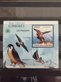 znaczki-fauna-ptaki-sokoly-komory-czysty-zn18