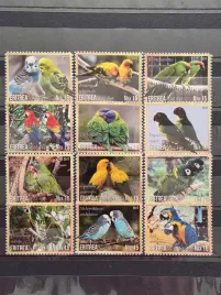 znaczki-fauna-ptaki-papugi-erytrea-czysty-zn9