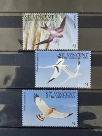 znaczki-fauna-ptaki-jaskolki-jastrzebie-st-vincent-czysty-zn4
