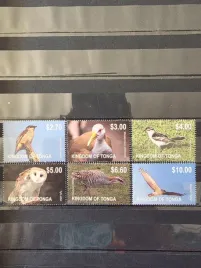 znaczki-fauna-ptaki-sowy-bazanty-sokoly-tonga-czysty-zn1