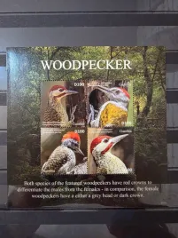 znaczki-fauna-ptaki-dziecioly-gambia-czysty-d