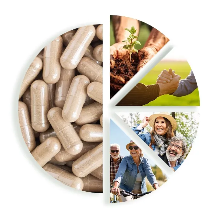 prostavin-plus-wspomaga-prace-stawow-60-kaps