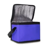 torba-termoizolacyjna-na-lunch-keep-it-cool-niebieski-rodzaj-kosz