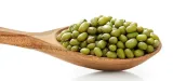 fasola-mung-1kg-migogroup-waga-z-opakowaniem-1-03-kg