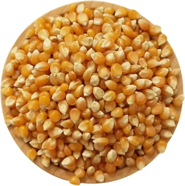 popcorn-ziarno-kukurydzy-do-prazenia-1kg-rodzaj-popcorn