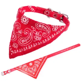 obroza-dla-psa-z-bandamka-czerwona-30x1-cm-mala