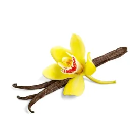 laska-wanilii-naturalna-aromatyczna-1-szt-frutavita-12-14cm