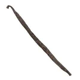 laska-wanilii-naturalna-aromatyczna-1-szt-frutavita-13-17cm