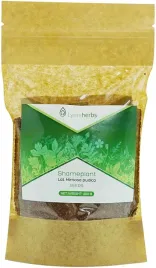mimosa-pudica-nasiona-lymeherbs-250g
