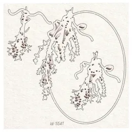 tekturka-herbal-phoenix-mala-owalna-ramka