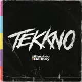 electric-callboy-tekkno-winyl-czarny-cd
