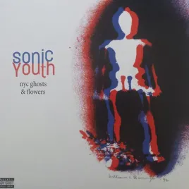 sonic-youth-nyc-ghosts-and-flowers-winyl