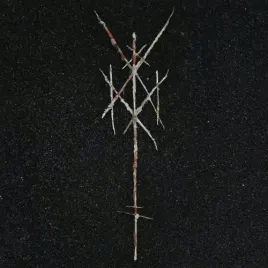 wiegedood-there-s-always-blood-at-the-end-of-the-road-2xwinyl-czarny