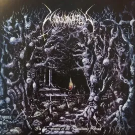 unanimated-in-the-forest-of-the-dreaming-dead-2xwinyl-czarny