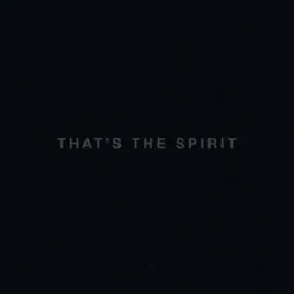 bring-me-the-horizon-that-s-the-spirit-winyl-czarny-cd