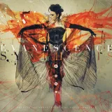 evanescence-synthesis-2xwinyl