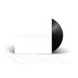 foo-fighters-but-here-we-are-winyl-czarny