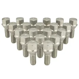 sruby-do-felg-renault-laguna-ii