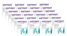 kattovit-gastro-losos-24x85g-saszetka