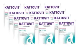 kattovit-gastro-losos-12x85g-saszetka
