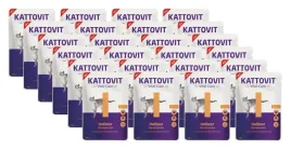 kattovit-vital-care-indoor-24x85g