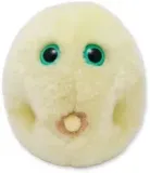 katar-sienny-maskotka-mikrob