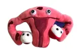 endometrioza-maskotka-mikrob