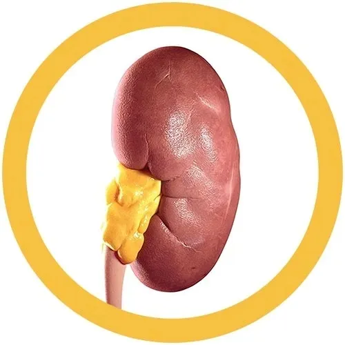 maskotka-mikrob-nerka-waga-z-opakowaniem-0-1-kg