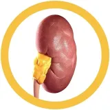 maskotka-mikrob-nerka-waga-z-opakowaniem-0-1-kg