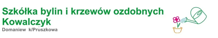 monarda-bee-merry-pbr-monarda-hybrida-p9-styl-ogrod-skalny-ogrod-japonski-ogrod-wiejski-ogrod-nowoczesny-ogrod-srodziemnomorski