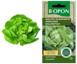 biopon-nasiona-salata-glowiasta-krolowa-majowych