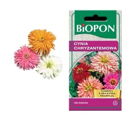 biopon-nasiona-cynia-chryzantemowa-1g-mix-kolor