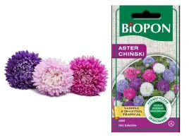 biopon-nasiona-aster-chinski-karlowy-1g