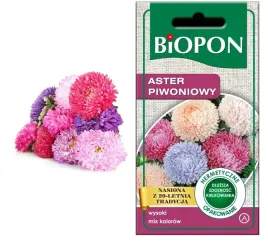 biopon-nasiona-aster-piwoniowy-1g