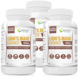 lions-mane-500mg-soplowka-jezowata-stres-3x60k