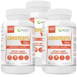 cordyceps-750mg-odpornosc-maczuznik-3x120-kaps