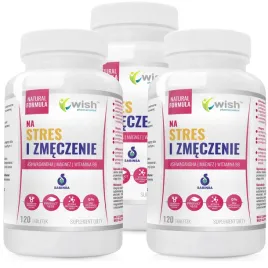 stres-zmeczenie-ashwagandha-magnez-wit-b6-360t