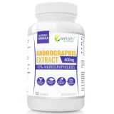 andrographis-extract400mg-andrografloidy-borelioza
