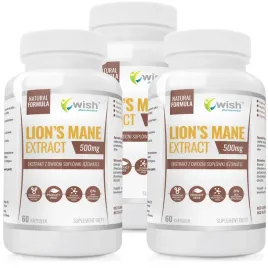 lions-mane-500mg-soplowka-jezowata-stres-3x60k
