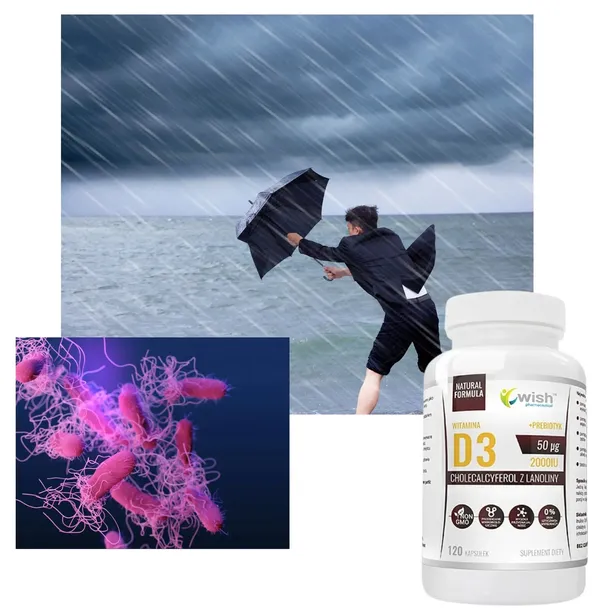 witamina-d3-2000iu-50mcg-120-kapsulek-okazja-podstawowy-skladnik-witamina-d3