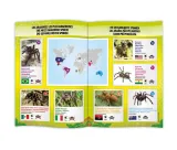 tarantula-buki