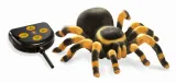 tarantula-buki