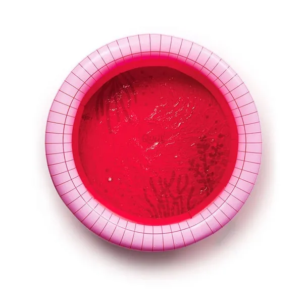 dmuchany-basen-duzy-o-120-cm-dippy-cherry-quut